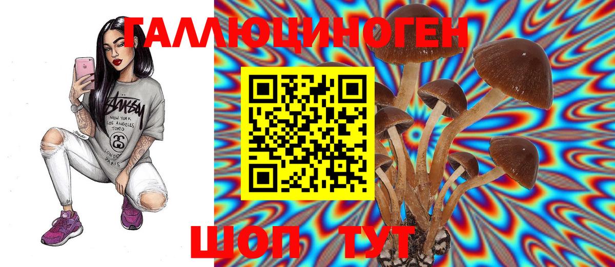 Красный Сулин  наркота  Вход с VPN  Галлюциногенные грибы MAGIC MUSHROOMS  Псилоцибиновые грибы Cubensis 